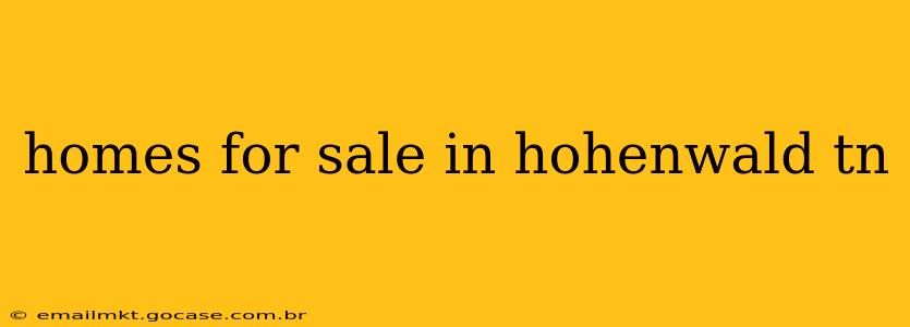 homes for sale in hohenwald tn