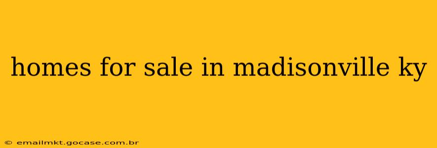 homes for sale in madisonville ky