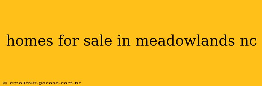 homes for sale in meadowlands nc