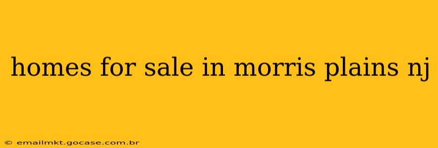 homes for sale in morris plains nj