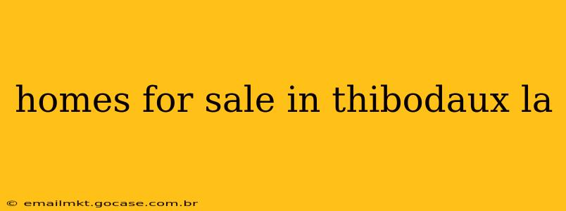 homes for sale in thibodaux la