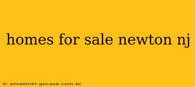 homes for sale newton nj