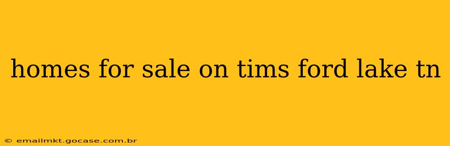 homes for sale on tims ford lake tn