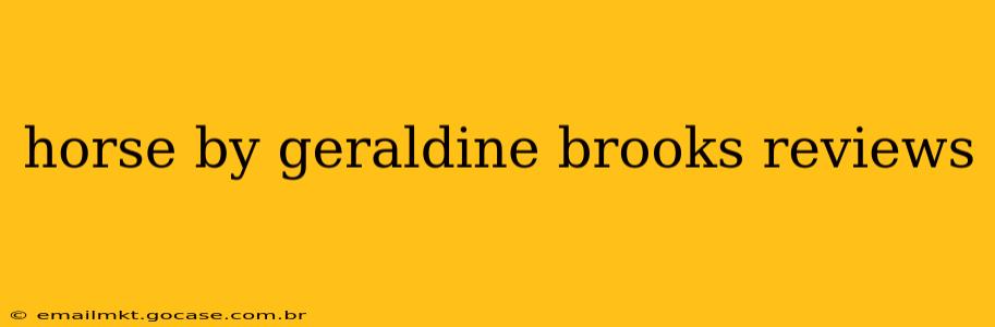 horse by geraldine brooks reviews