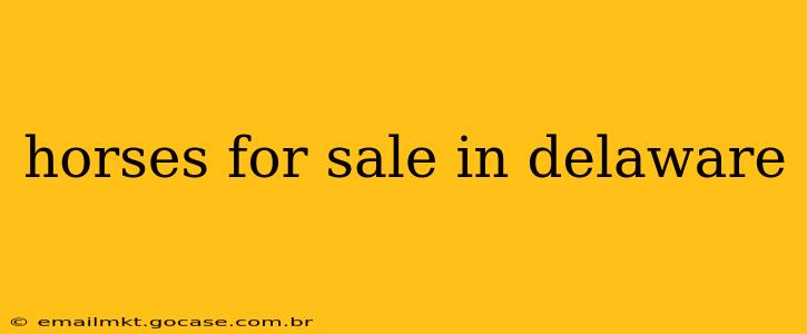 horses for sale in delaware