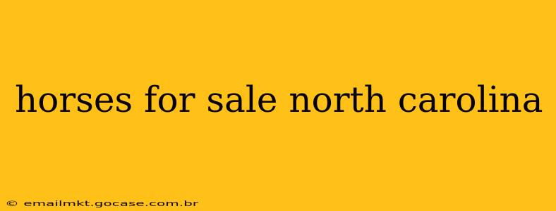 horses for sale north carolina