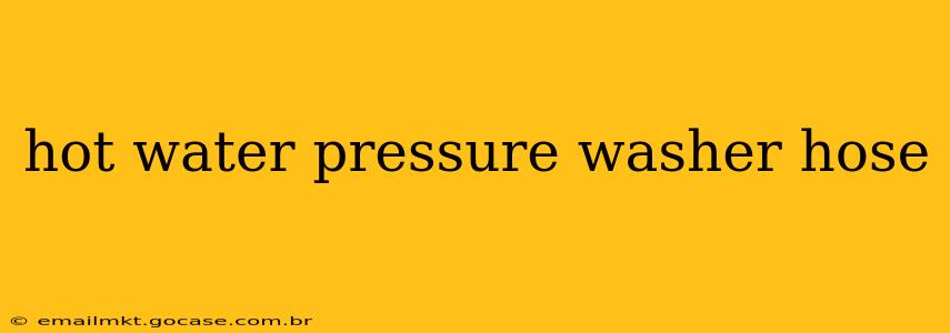hot water pressure washer hose