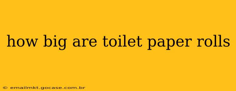 how big are toilet paper rolls