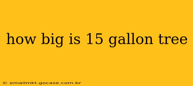 how big is 15 gallon tree