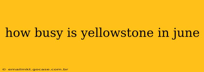 how busy is yellowstone in june