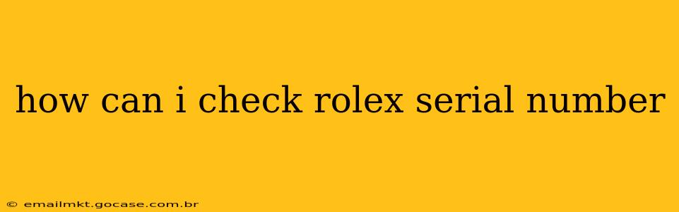 how can i check rolex serial number