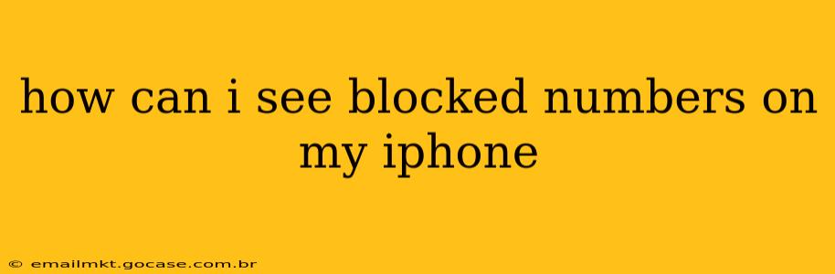 how can i see blocked numbers on my iphone