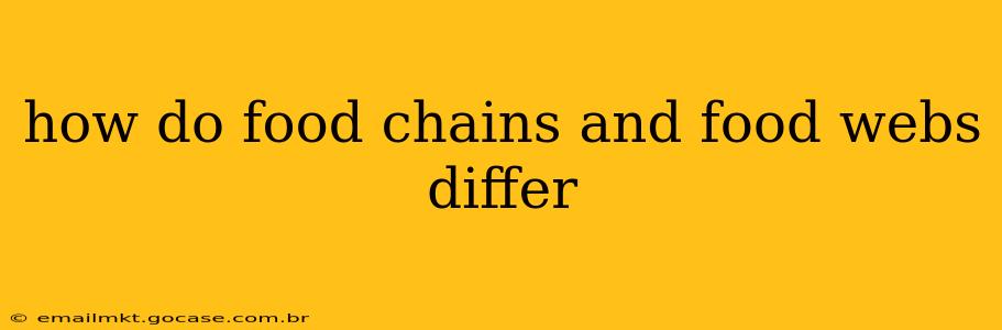 how do food chains and food webs differ