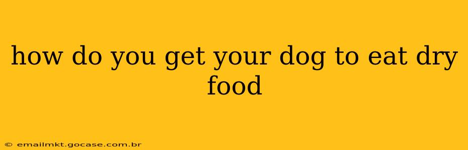 how do you get your dog to eat dry food