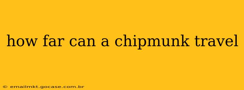 how far can a chipmunk travel