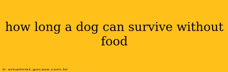 how long a dog can survive without food