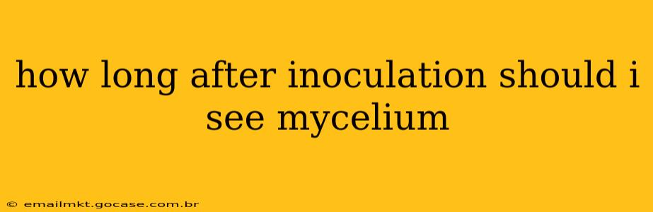 how long after inoculation should i see mycelium
