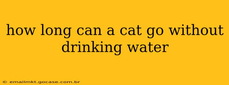 how long can a cat go without drinking water