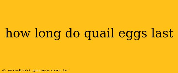 how long do quail eggs last