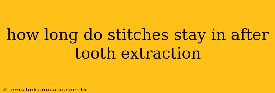 how long do stitches stay in after tooth extraction