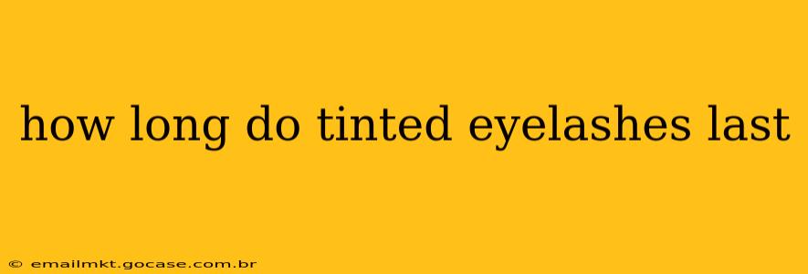 how long do tinted eyelashes last