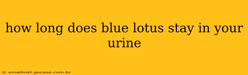 how long does blue lotus stay in your urine