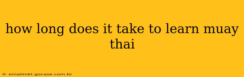 how long does it take to learn muay thai