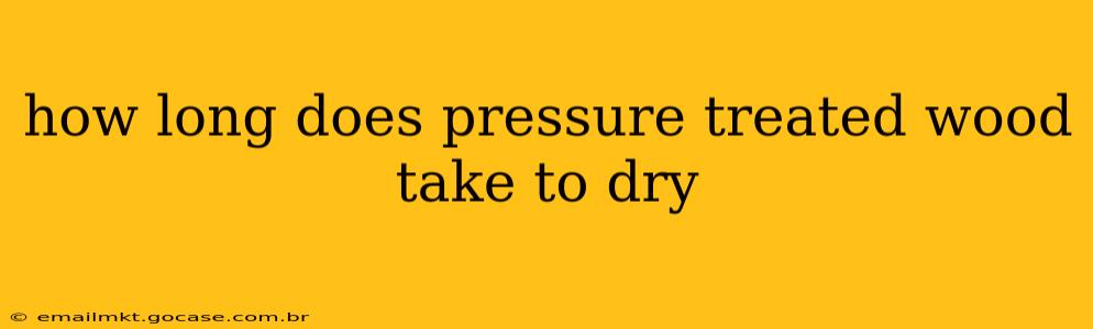 how long does pressure treated wood take to dry