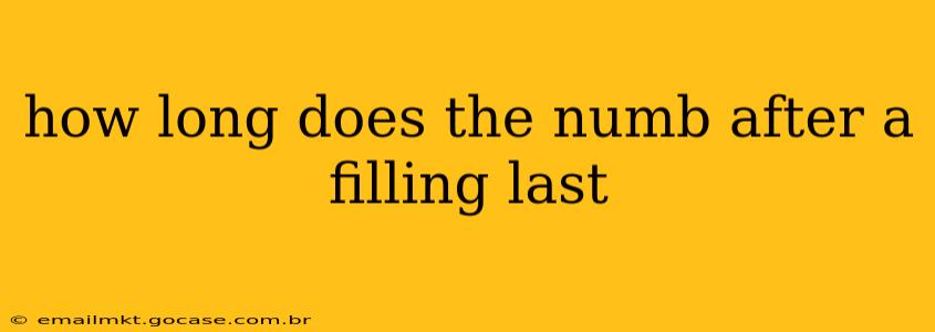 how long does the numb after a filling last
