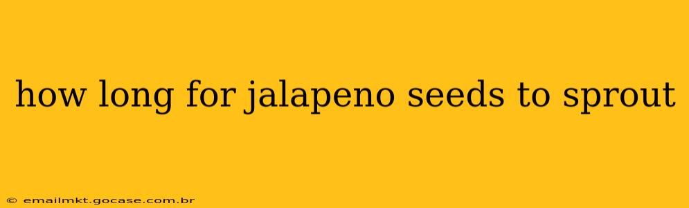 how long for jalapeno seeds to sprout