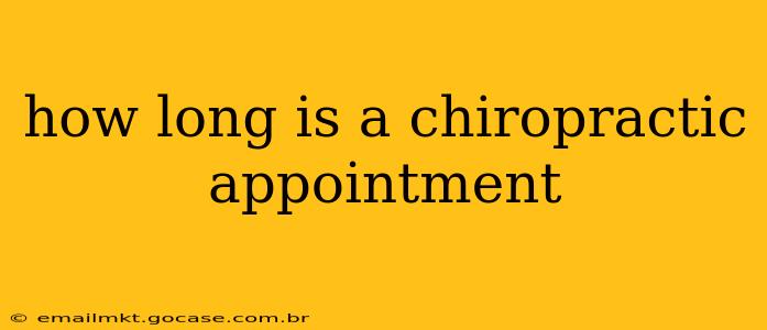 how long is a chiropractic appointment