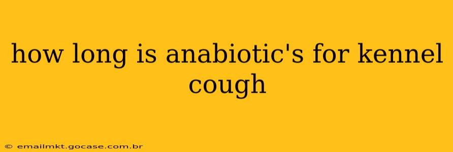 how long is anabiotic's for kennel cough