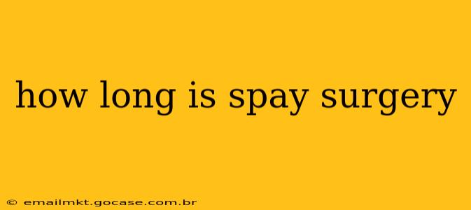 how long is spay surgery