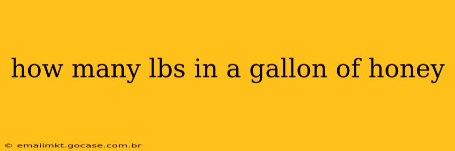 how many lbs in a gallon of honey