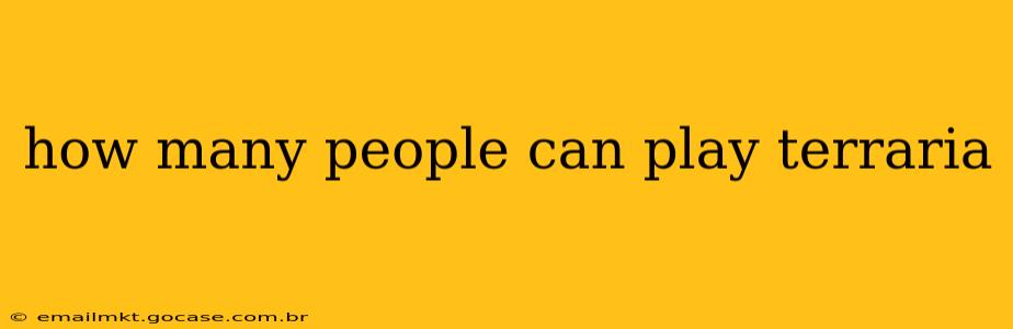 how many people can play terraria