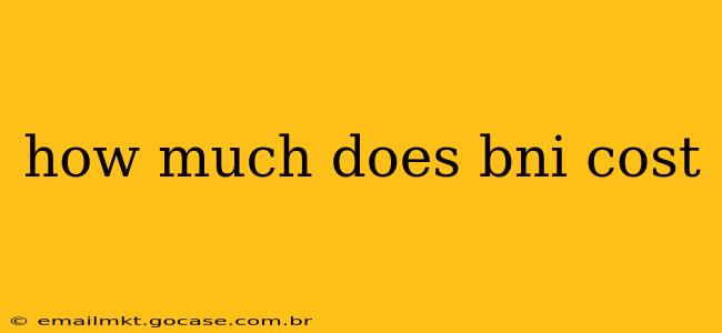 how much does bni cost