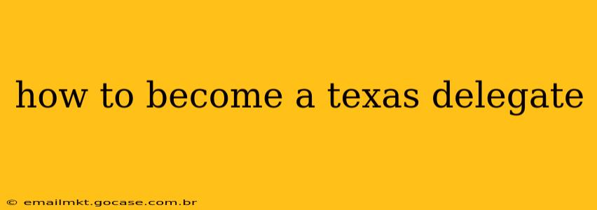 how to become a texas delegate