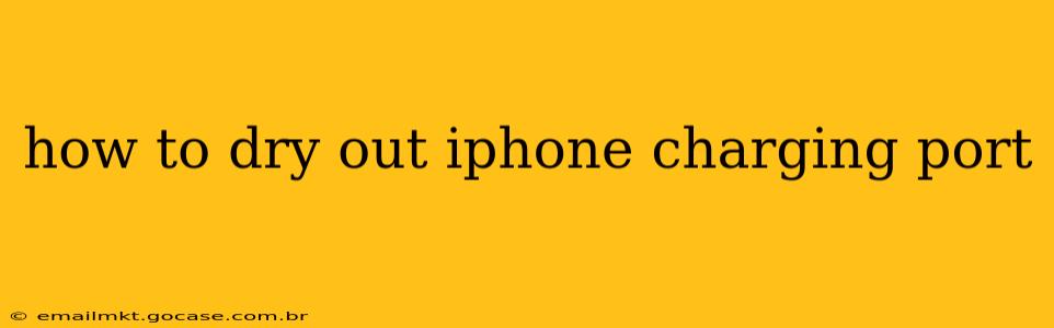 how to dry out iphone charging port