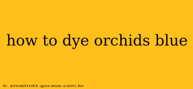how to dye orchids blue