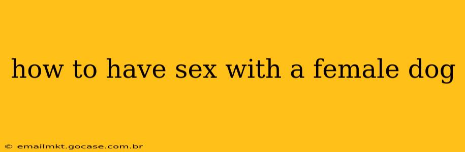 how to have sex with a female dog