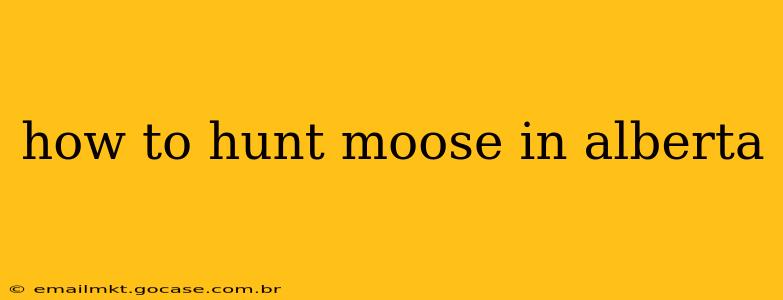how to hunt moose in alberta