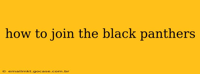how to join the black panthers