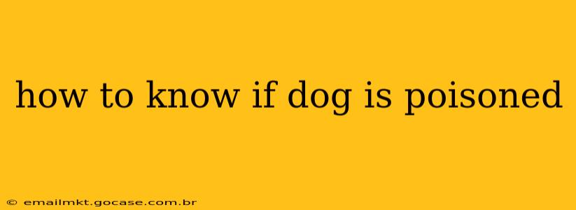 how to know if dog is poisoned