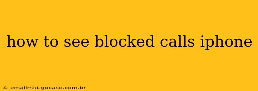 how to see blocked calls iphone