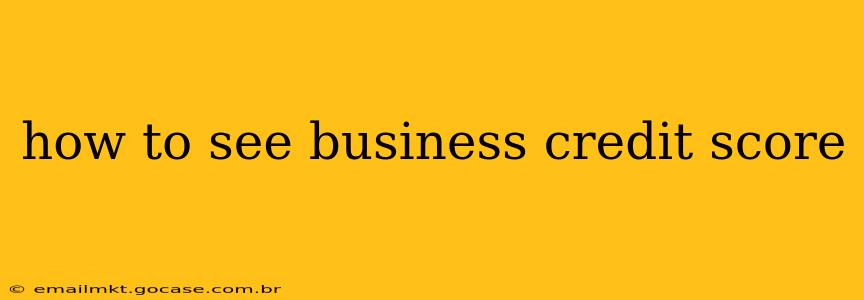 how to see business credit score