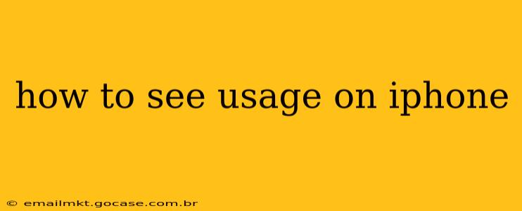 how to see usage on iphone