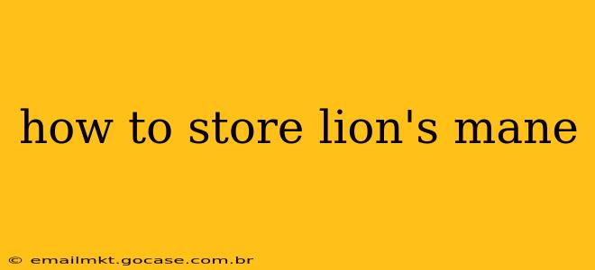 how to store lion's mane