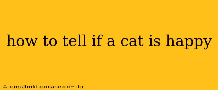 how to tell if a cat is happy