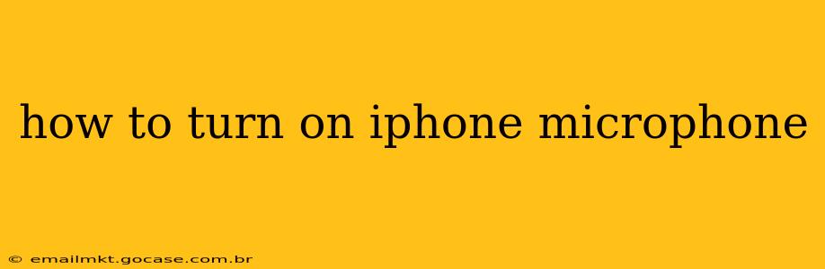 how to turn on iphone microphone