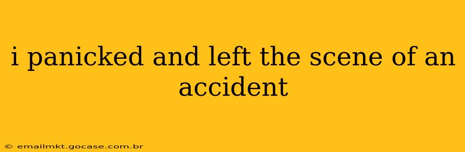 i panicked and left the scene of an accident